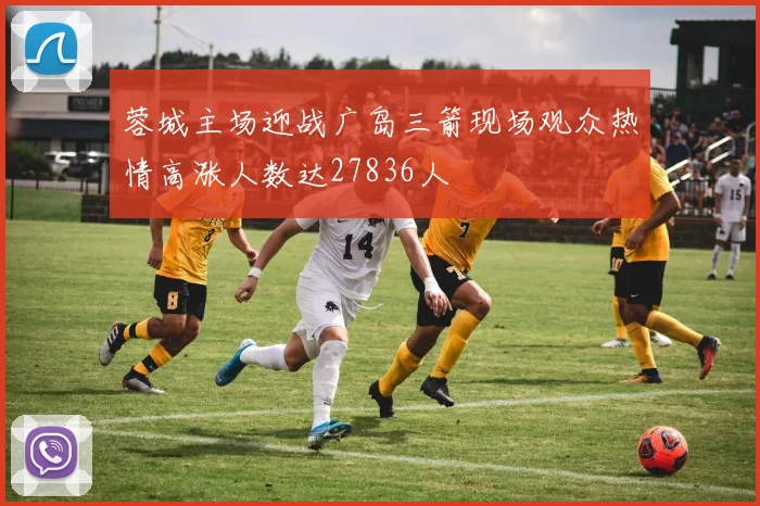 蓉城主场迎战广岛三箭现场观众热情高涨人数达27836人