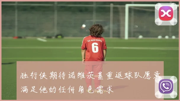 独行侠期待诺维茨基重返球队愿意满足他的任何角色需求