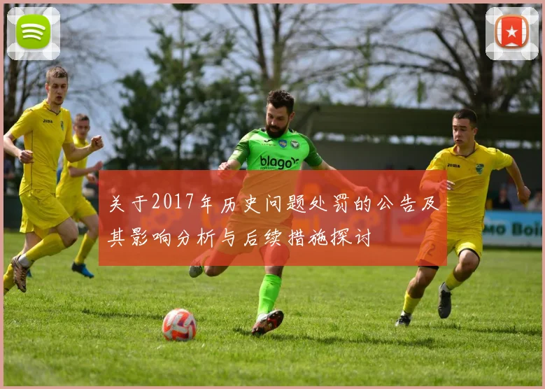 关于2017年历史问题处罚的公告及其影响分析与后续措施探讨